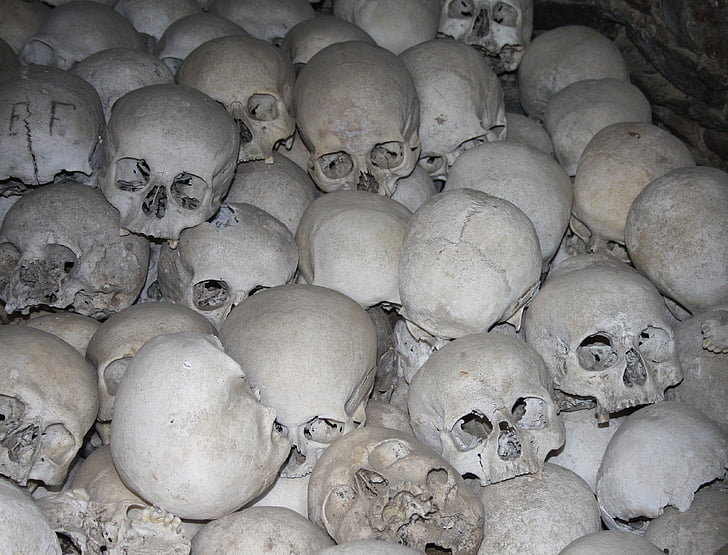 skull, skull and crossbones, mortal, church, crypt, bones, ossuary