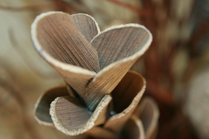 deco, material, wood, brown, close