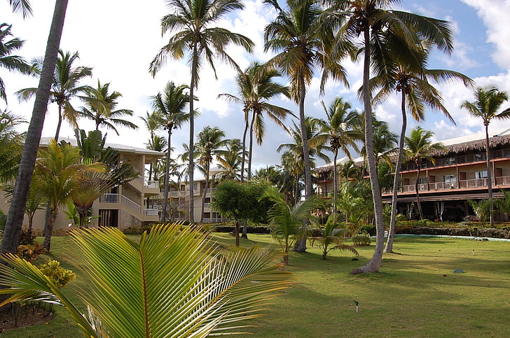 Punta cana, Karib-szigetek, pálmák, a Hotel, természet, Beach, medence