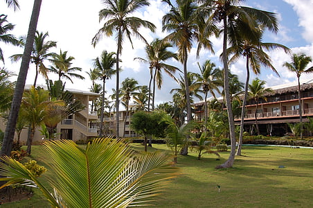 punta cana, caribbean, palms, hotel, nature, beach, pool