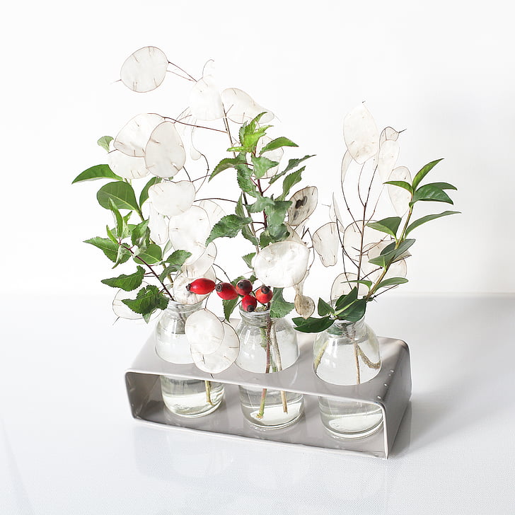 vase, red, rose hip, leaves, green, white, silver leaf