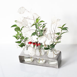 vaso, vermelho, Rosa Mosqueta, folhas, verde, Branco, folha de prata