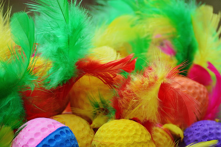 foam balls, feather, colorful, toys, cat, play, balls