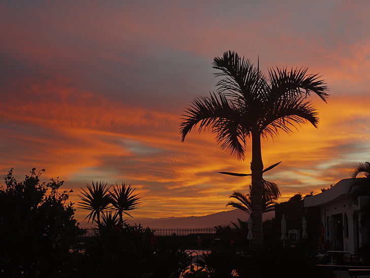 mặt trời mọc, morgenrot, Palm, Sân bay Tenerife, morgenstimmung, bầu trời màu đỏ, tâm trạng