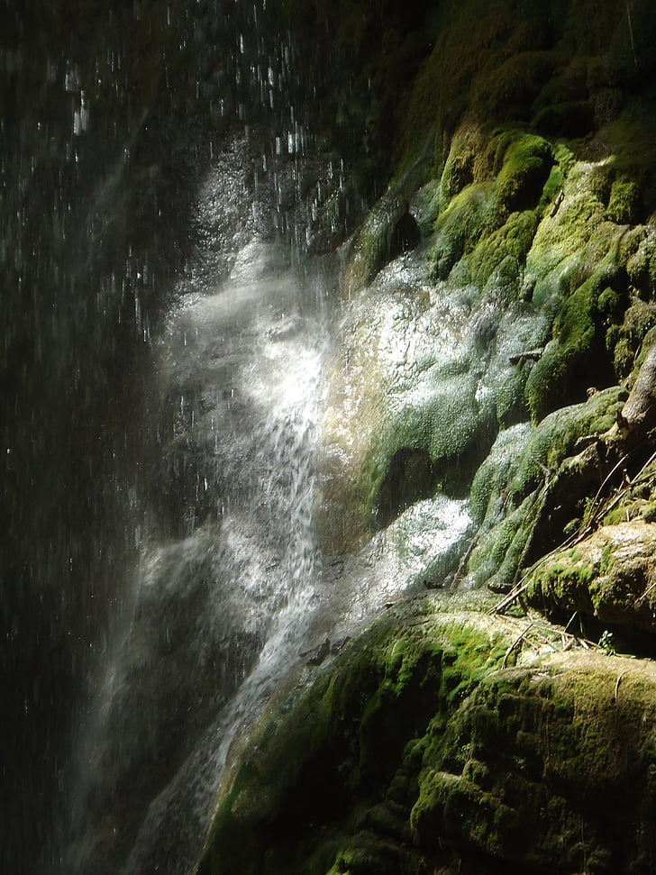 musgo, Cachoeira, molhado, escorregadia, selvagem, verde, natureza