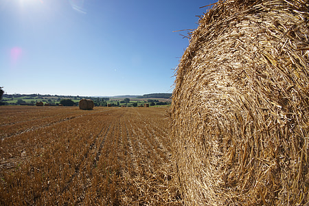 straw bale, roller, fields, straw, agriculture, hay, nature