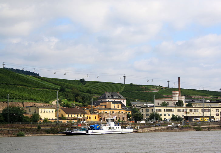 Rüdesheim, Rin, Banc, paisatge, ciutat