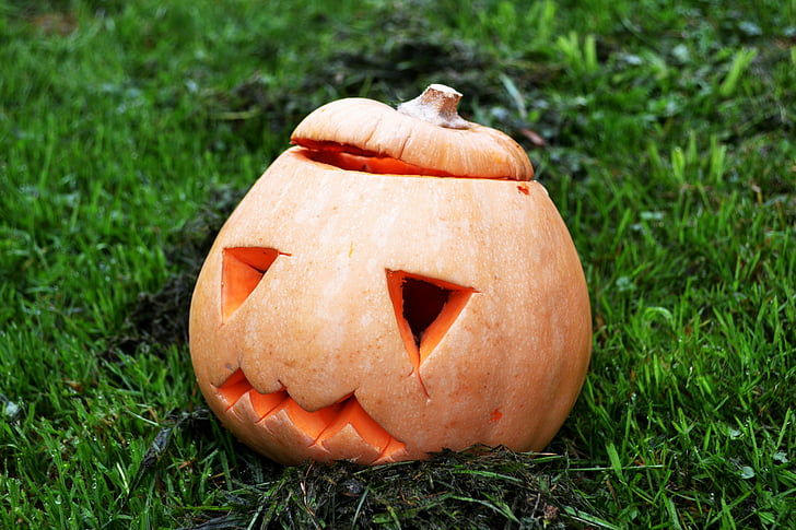 tök, squash, Halloween, jack-o-lantern, ősz, horror, kísérteties