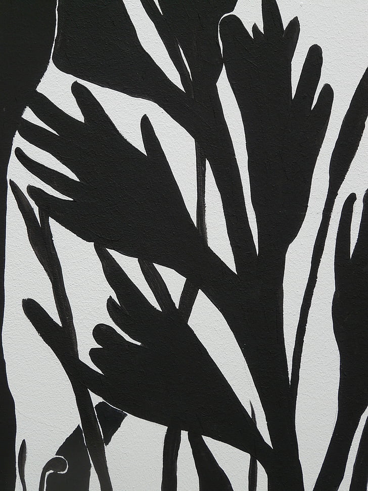 drawing, plant, mural, black and white, abstract, art, illustration