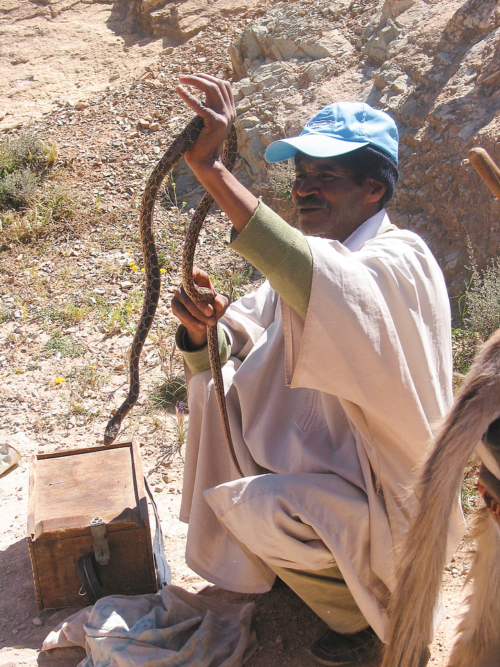 Marokko, Snake charmer, slange, djellaba