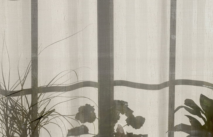namas, Pagrindinis puslapis, augalai, užuolaidos, langas, šešėlis, fonai