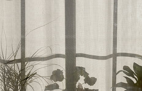 Casa, Inicio, plantas, cortina, ventana, sombra, fondos