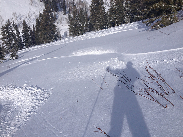 สกี, สกี, หิมะ, ผง, เงา, นักเล่นสกี, ภูเขา