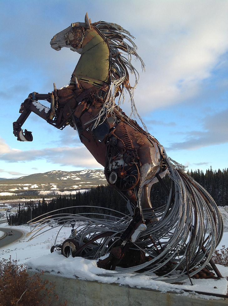 Whitehorse, Yukon, kôň