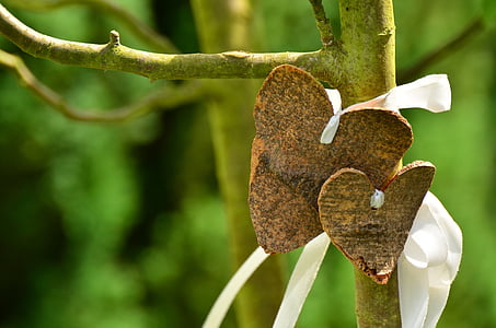 hjerte, Kærlighed, bark, træ, bryllup, Valentinsdag, fra Rusland med kærlighed