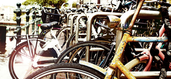 voyage, Amsterdam, vélo, vélo, transport, rue, scène urbaine