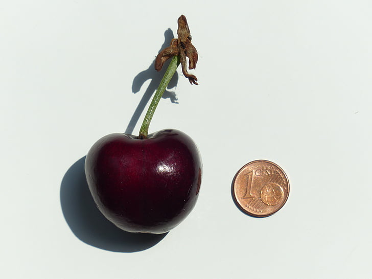 cherry, large, huge, size comparison, cent, penny, coin