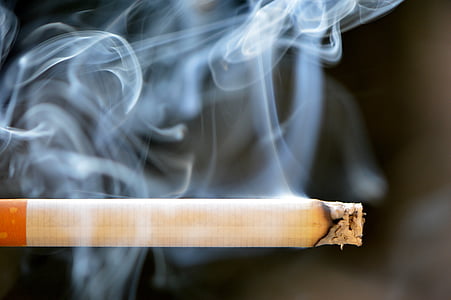 sigaretta, fumo, brace, cenere, fumo - struttura fisica