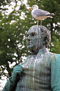 pescăruş, Statuia, excremente de pasăre, degradante, pasăre