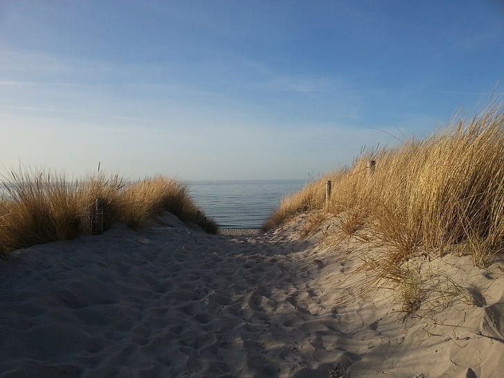 baltic sea, dunes, beach