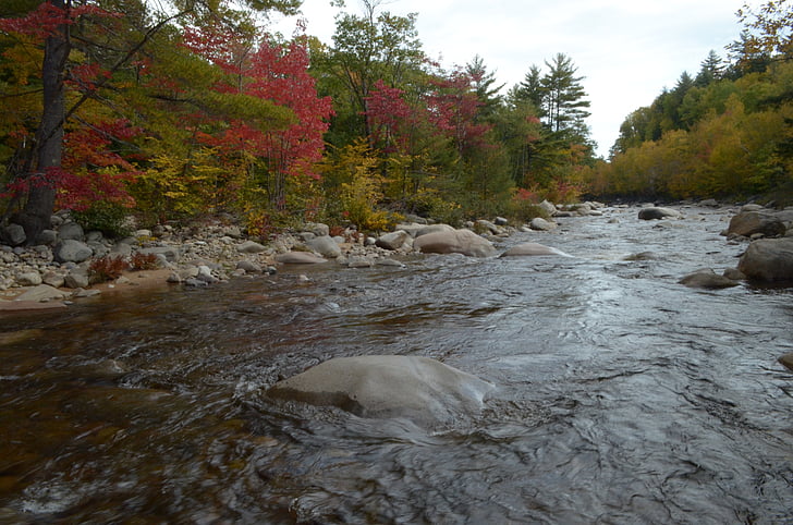 kolory jesieni, strumień, Natura, strumień wody, Rzeka stream, Park, lasu