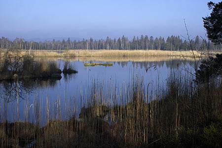 riedsee, погано wurzach, Гостроморда, болотиста місцевість, Марш, водно-болотних угідь, природний заповідник