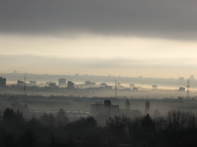 nebbia, Francoforte sul meno, natura