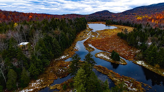 Kanada, fallen, Herbst, Landschaft, landschaftlich reizvolle, Fluss, Stream