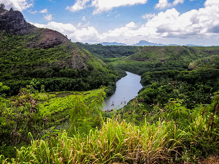 Hawaii, Kauai, Wailua, nehir, doğa, manzara, Hiking trail