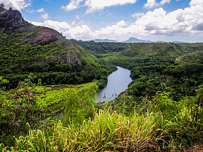 Hawaii, Kauai, Wailua, Sungai, alam, pemandangan, jejak Hiking
