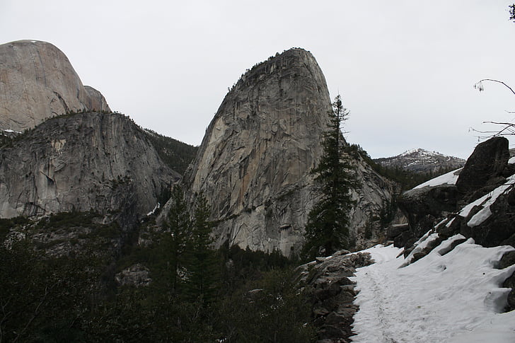 Yosemite, Forest, Parc, nature, national, é.-u., Californie