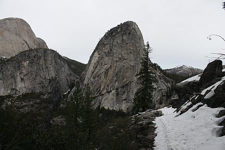 Yosemite, skogen, Park, naturen, nationella, USA, Kalifornien