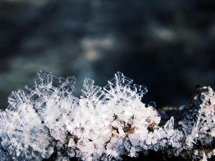 crystals, ice, snow, winter, frost, leaves