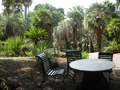 Elba, Palm Garden Hotel, Bäume, Anlage, Garten, Palmen, Italien