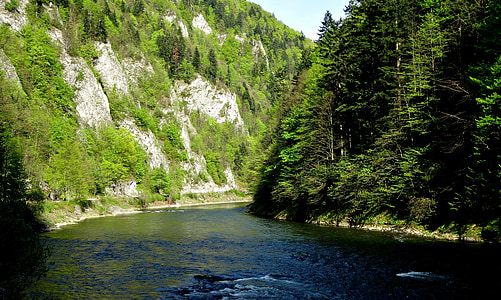Pieniny, Bergen, wandelroutes, Dunajec, Toerisme, landschap, natuur