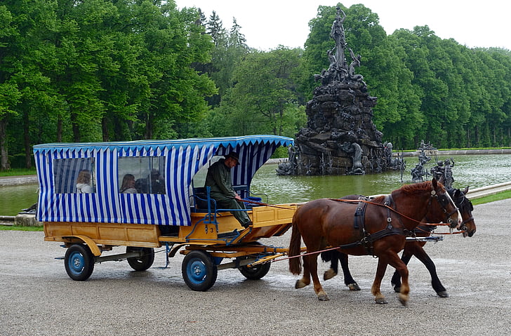 paard en wagen, wagon, vervoer, vervoer, traditionele, Vintage