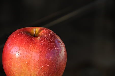 Apple, fruta, otoño, apfelernte, saludable, alimentos, rojo