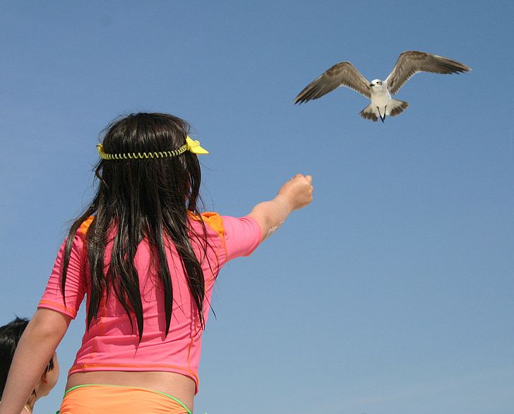 Sea gull, petite fille, oiseau, enfant, plage, mer, île