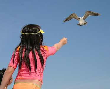 Deniz martı, küçük kız, kuş, Çocuk, plaj, Deniz, ada