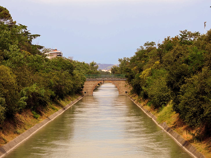 elven, kanal, vann, torrent, Riva, bredden, trær