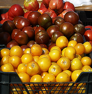 Tomaten, Landwirtschaft, der Anbau von, Natur, Essen, gesund, Ausstellung