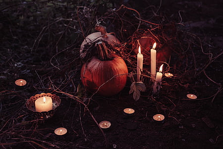 zucche, al lato di, candele, Halloween, zucca, ramo, notte