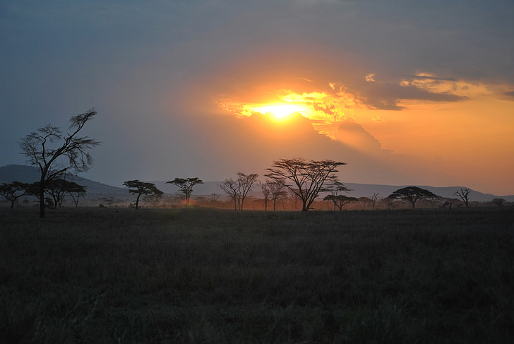 Afrika, Tanzanie, Národní park, Safari, Serengeti, Západ slunce, Afterglow