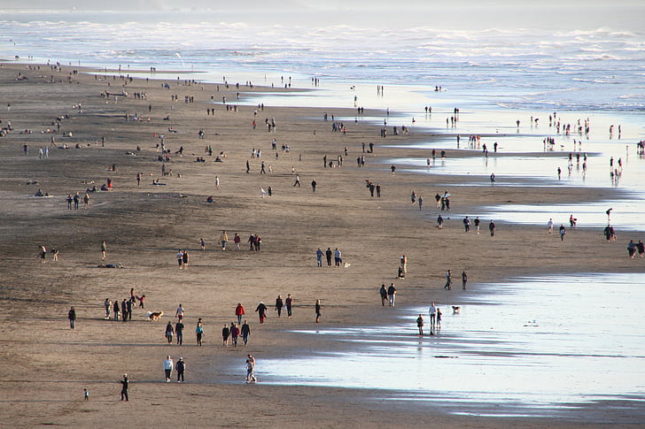 Ocean beach, hav, stranden, San francisco, folk, sjøen, sand