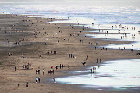 Praia do oceano, oceano, praia, são francisco, pessoas, mar, areia