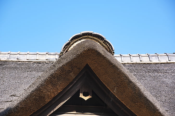 Giappone, Case rurali, agricoltore, tetto, in legno, tradizione, vecchie case