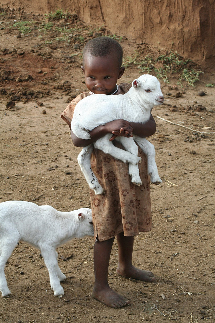 otrok, Afrika, jagnje, Kenija, ljudje, revščine, srčkano