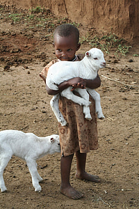 kind, Afrika, lam, Kenia, mensen, armoede, schattig