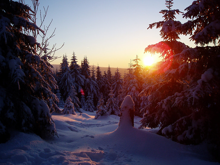 Wintersonne, winterliche, Kälte