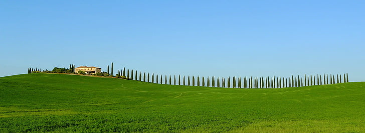 Toscana, ciprešu, lauku sētas iemītnieki, Scenic, Panorama, zaļa, kalna